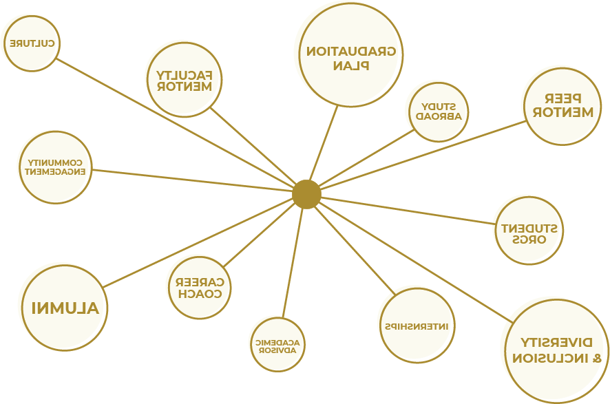 Graphic displaying the following text: Graduation plan, peer mentor, study abroad, student orgs, diversity and inclusion, internships, academic advisor, career coach, alumni, community engagement, culture, faculty mentor