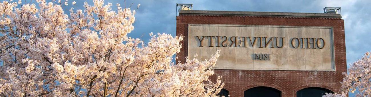 Cherry Blossoms at Peden Stadium