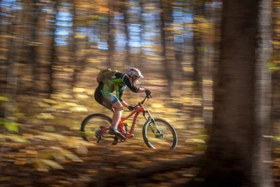 A man rides a bicycle through the Wayne National Forest